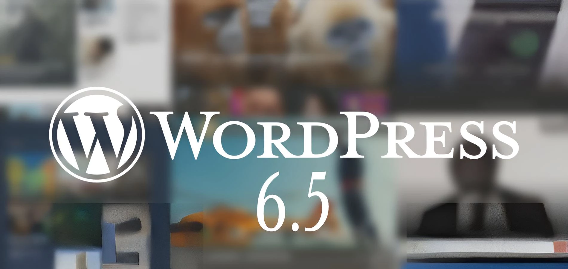 WordPress 6.5, what new?